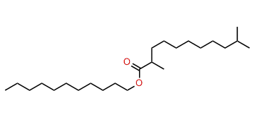 Undecyl 2,10-dimethylundecanoate